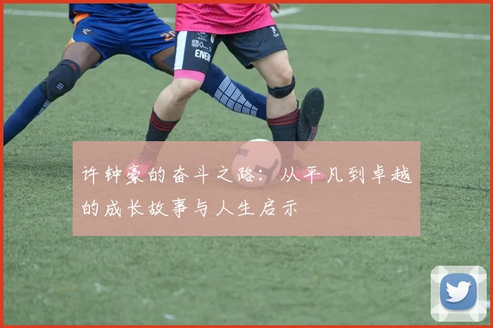 许钟豪的奋斗之路：从平凡到卓越的成长故事与人生启示