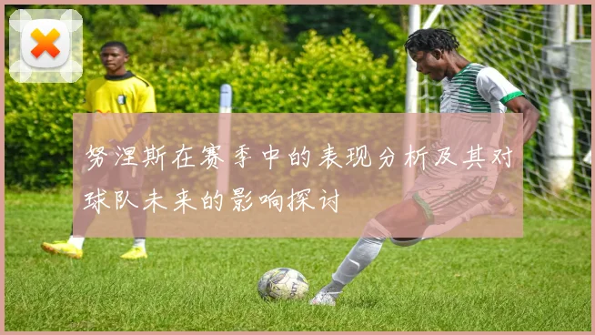 努涅斯在赛季中的表现分析及其对球队未来的影响探讨