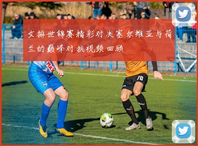 女排世锦赛精彩对决塞尔维亚与荷兰的巅峰对抗视频回顾