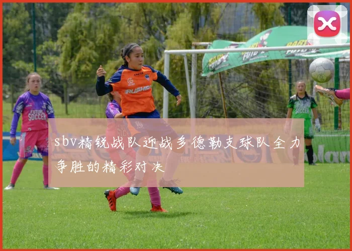 sbv精锐战队迎战多德勒支球队全力争胜的精彩对决